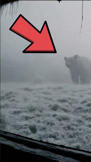 Top 5 Ways to Survive a Grizzly Bear Encounter 🐻 (Life-Saving Tips)