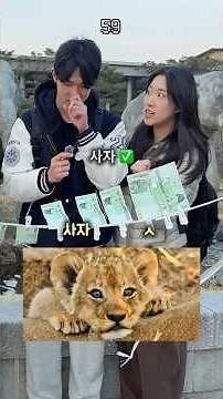 Animal names starting with 'ㅅ'