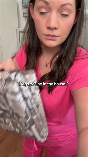 ⭐️⭐️⭐️⭐️⭐️ "We have tried disposable pads but they smell terrible and become dangerously slippery when wet - I have had several broken toes to attest to that !! ElitePads have saved the day ! ” - Sarah M. Find out why people are going crazy over ElitePad An innovative pee pad designed with input from top vets ✔️Natural scent that attracts your dog to pee on the pad (no training needed) ✔️No pee smell and holds 4 pees ✔️Chew-Proof, High-Quality design that will last for years. ✔️Planet-Friendly R