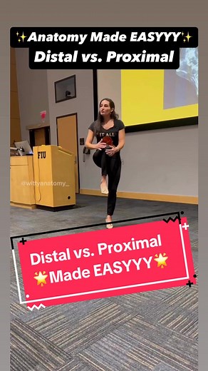 Understanding Proximal vs. Distal in Anatomy Made Easy