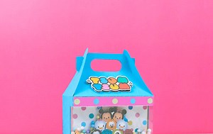 How to make Gable Box Shaker - DIY Favor Boxes