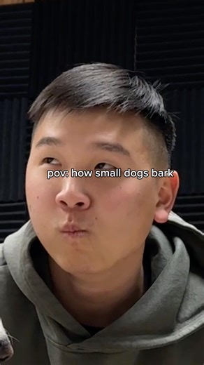 Why do dogs bark? 🤔