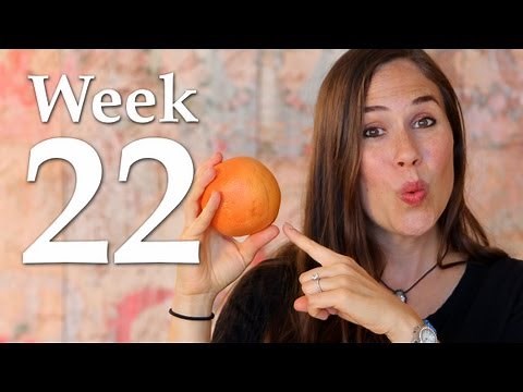 My Pregnancy @ 22 Weeks + Belly Shot