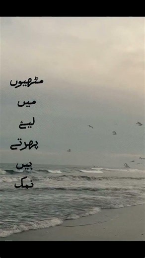 #aln_novels #muntazir #love #poetry #sad