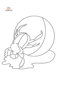 Coloriage animaux des pays chauds ♥ Imprimer et En ligne