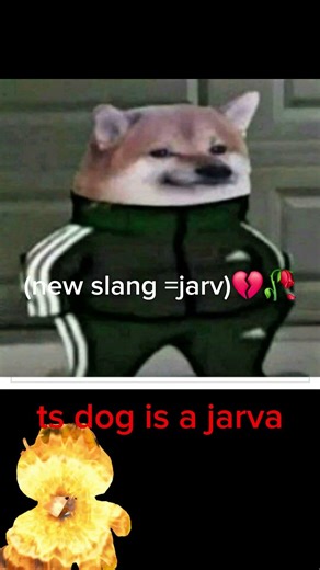 #jarv #jarving it #jarvis #jarva