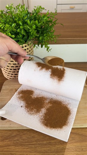 This paper towel trick will surprise you! | Bezerra good Tips