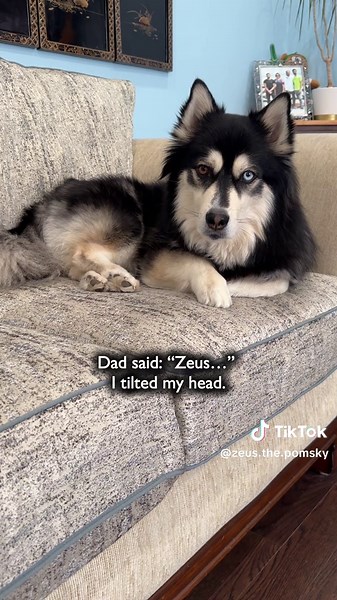 What started as a repair… turned into a three-hour survival story. 🤣 | Saving Dogs