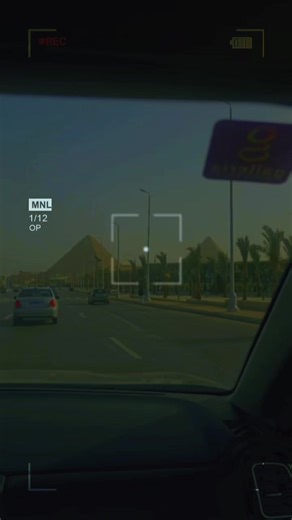 #everyone #tik_tok #viral #cats #egypt @falsissimofree00 @ladygaga