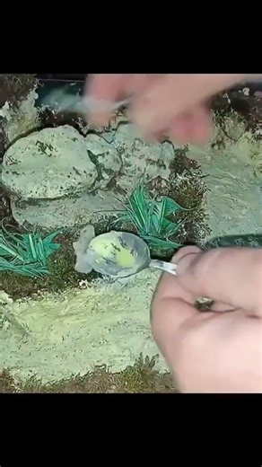 DIY Realistic Terrain from Scratch