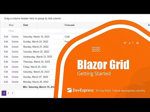 Blazor Grid: Get Started