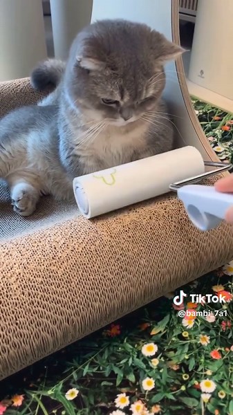 Discover the Magic of Alternative Medicine