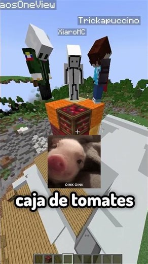 Minecraft block telepathy #minecraft