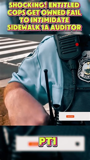 #audit #police #fyp #foryou