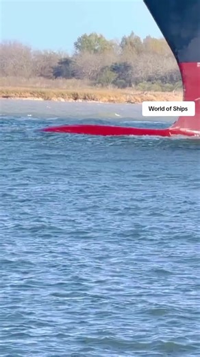 Cosco Vietnam! #ship #vessel #containership #container