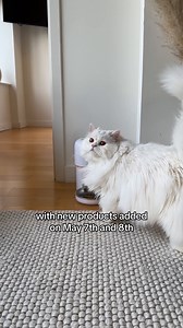 318K views · 519 reactions | Amazon Pet Day is coming up and we have some special deals for you and your furry friends  Explore deals now: https://go.amzn.to/3Uc37pF #AmazonFinds #AmazonPetDay : @cleothecitykitty_ | Amazon.com | Facebook