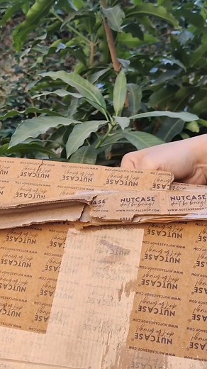 Say it loud, say it proud, and say it with style. 📣✨ Nutcase has a nameplate for every vibe, from chic wooden finishes 🪵 to sleek metal 🛠, and everything in between. Looking for something that screams 'you'? With the world’s widest collection of designs and materials, including designer acrylic 💎 and engraved options 🖌, finding the perfect match for your doorstep is a breeze 🌬. Whether you're jazzing up a flat 🏢, a bungalow 🏡, or giving a unique touch to a cafe or bar 🍹, we've got the n