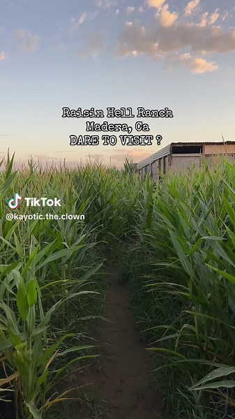 Explora el Miedo en Raisin Hell Ranch