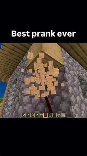 Why You Should Never Trust a Minecraft Door 💀 #minecraft