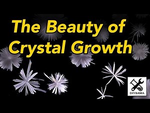 The Beauty of Crystal Growth (Crystallisation of Sodium Acetate)