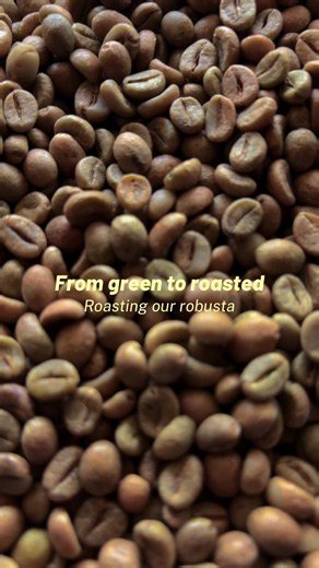 From green beans to roasted: Roasting our robusta