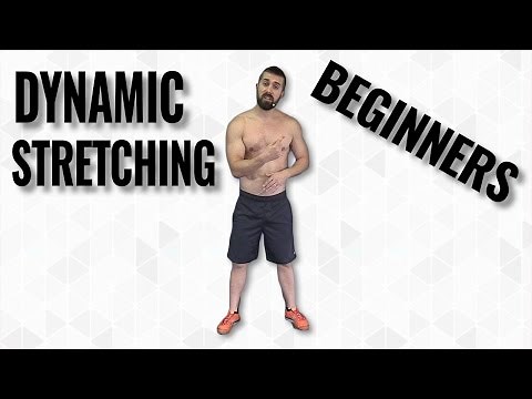 Top 5 EASIEST Dynamic Stretching Routine for Beginners