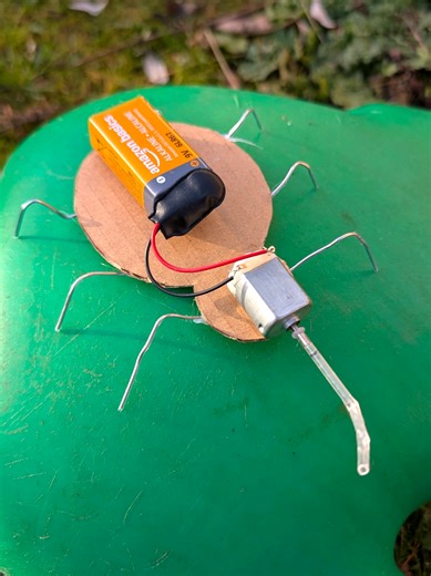 Self-moving DIY Bug Robot 🪲 🤖