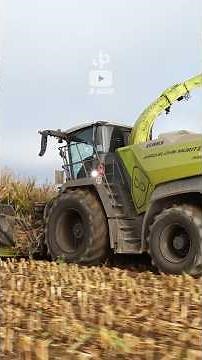 Harvesting corn without a steering wheel 👌🏼 #claas #jaguar #corn #agriculture #agriculturaltechno...