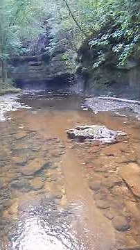 Warrior Bass Adventure (Part 5): Limestone Creeks & Unexpected Catch