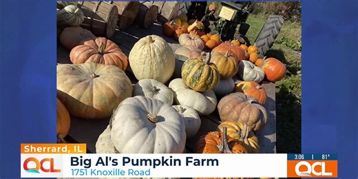 Sherrard pumpkin farm to open for fall, family-friendly fun season