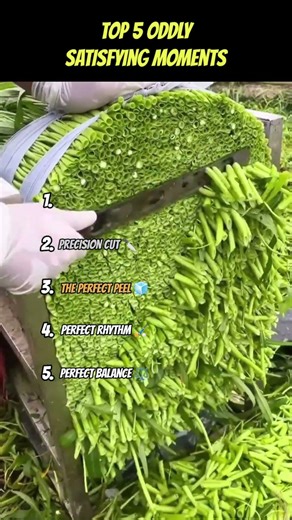 RANKING TOP 5 ODDLY SATISFYING MOMENTS ON INTERNET 😍 | #shorts #viral