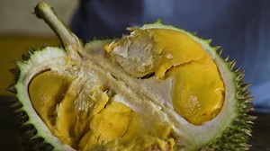 A Taste So Sweet, a Smell So Rotten: The Pungent Joys of Durian