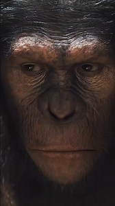MAYMUNLARIN KADERİNİ DEĞİŞTİREN AN 🦍🔥
