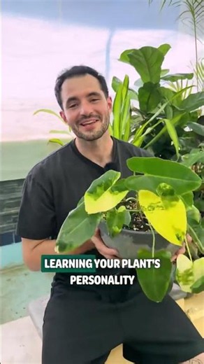 Using your Willow Sensor to it's full potential!