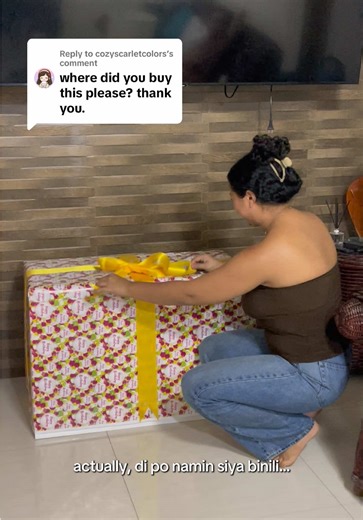 DIY Hidden Cat Litter Box Design