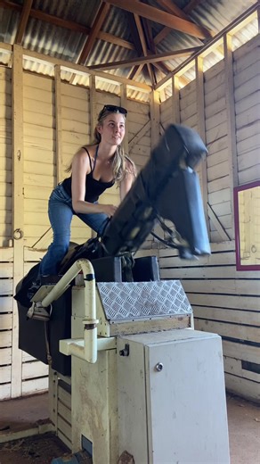 Échec hilarant avec un cheval mécanique 😂🏇