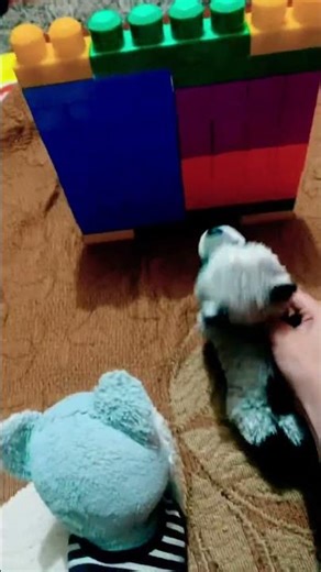 PlI OpEn🗣️🗣️🔥🔥🤑🤑💜💜🥶🥶😈😈👍👍🇵🇪🇵🇪💀💀🥵🥵🤬🤬