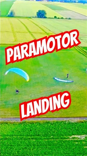 And who landed like that and hit the ground with their wing?