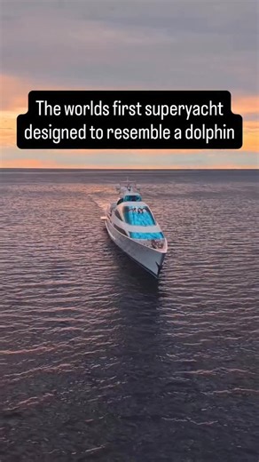 Once a Dutch Navy frigate, now one of the most distinctive yachts afloat, ‘Yas’. At 141m (463 ft) she’s among the largest private yachts in the world, designed specifically to resemble a dolphin! Built in Abu Dhabi on the hull of the former HNLMS Piet Hein, Yas underwent a radical conversion at ADM Shipyards with the transformation reported to cost an estimated $180 million. Video: @colek89 #superyacht #maritime #yachting #megayacht #sea #billionaire #ocean #travel #luxurylifestyle #yacht | The 