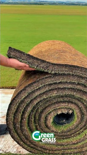 A Green Grass apresenta o primeiro Big Roll com tecnologia GameOn™