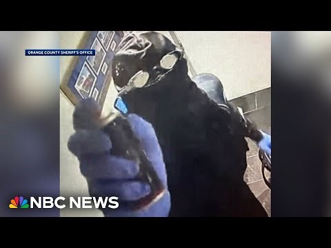 Disney World Waterfront Restaurant Robbed of $20k by Thief Who Snuck Inside Wearing Scuba Gear