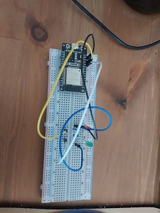 Beginner question: first project with LEDs isn't working