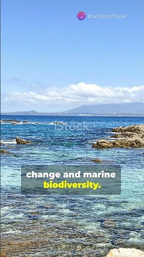 Macquarie Island: A Subantarctic Paradise 🌊🐧