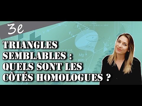 Triangles Semblables - Quels sont les côtés homologues ?