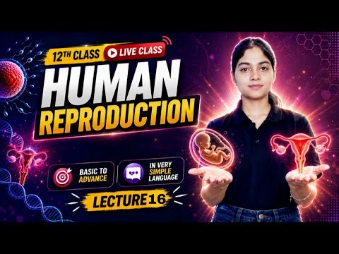 Human Reproduction – Fertilization | Class 12 Biology