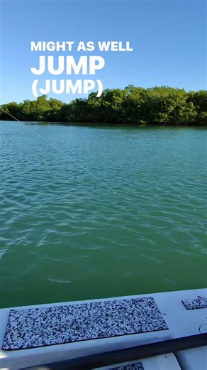 Jumping Tarpon AGAIN in December with Capt. Dexter Simmons Key West Fly Fishing…#flyfishing #tarpononfly #saltwaterflyfishing #tarpon #keywest | Key West Fly Fishing