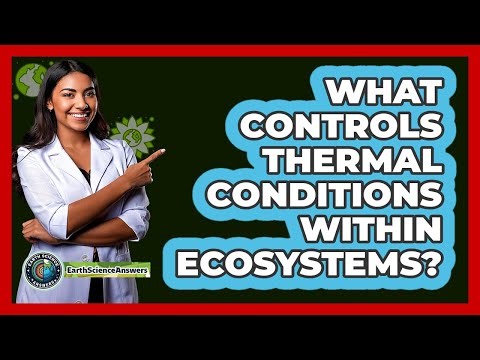 What Controls Thermal Conditions Within Ecosystems?