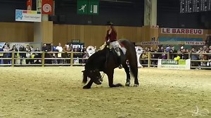 27K views · 281 reactions | Le #SIA2017 / Salon International de...