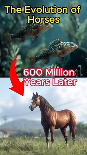 The Evolution of Horses | From Tiny Ancestors to Modern Stallions #ai #evolution #horse