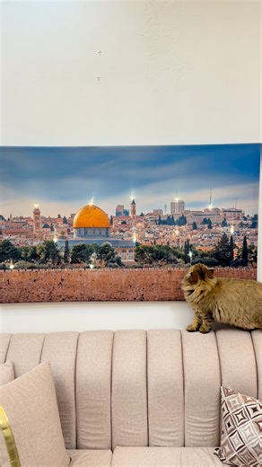 قطعة فنية مضيئة تجمع بين جمال الفن وقدسية المكان ✨ تفاصيل دقيقة وألوان دافئة تُظهر قبة الصخرة المشرفة ومشهد القدس الساحر في لوحة تبعث في النفس الطمأنينة والفخر 💛 🔸 خصائص اللوحة: • مطبوعة على قماش تركي طبيعي 100% مقاوم للماء وتغير اللون • إطار خشبي (سويدي) مخفي بسماكة 3.5 سم • مزودة بإضاءة داخلية تعمل على البطارية مع كبسة تشغيل من الخلف • إمكانية إضافة USB أو فيش كهرباء • مغلفة بعناية لضمان سلامتها أثناء التوصيل • جاهزة للتعليق فوراً • خدمة المعاينة قبل الاستلام خدمات ما بعد البيع 🕌 نور القدس 